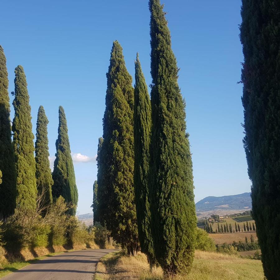 Apartamento Dimora In San Quirico dʼOrcia Exterior foto