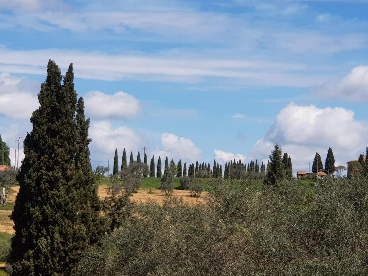 Apartamento Dimora In San Quirico dʼOrcia Exterior foto