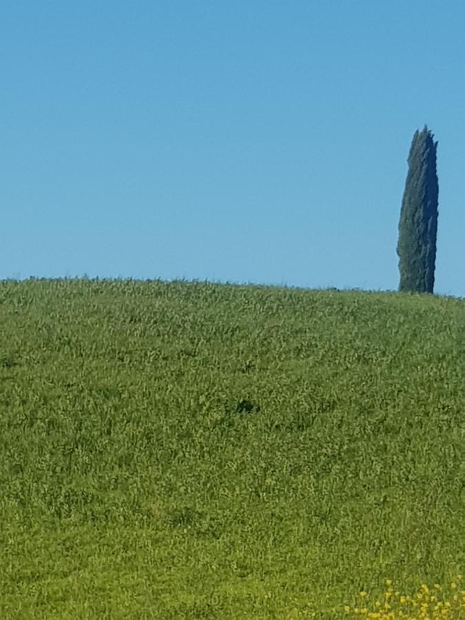 Apartamento Dimora In San Quirico dʼOrcia Exterior foto