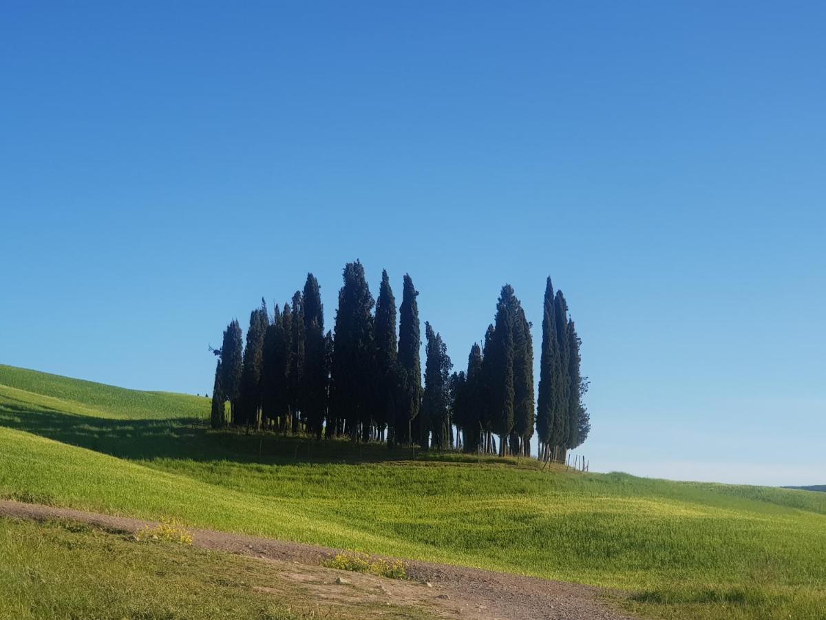 Apartamento Dimora In San Quirico dʼOrcia Exterior foto