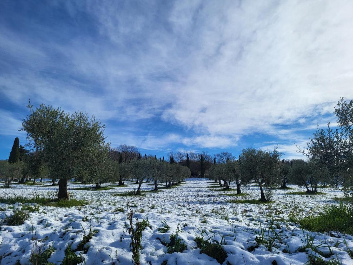 Apartamento Dimora In San Quirico dʼOrcia Exterior foto